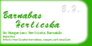 barnabas herlicska business card
