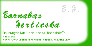 barnabas herlicska business card